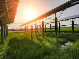 agrivoltaisme, panneaux photovoltaiques dans un champ