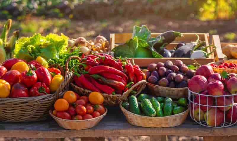 agriculture biologique, production fruits et légumes