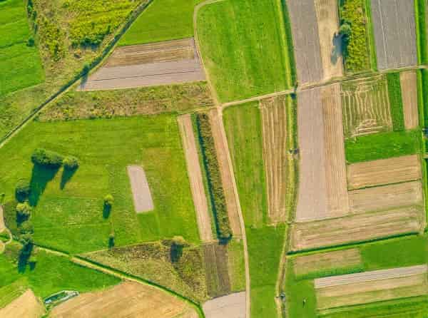 Paysage Agricole Paysage Agricole