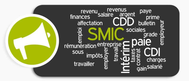 SMIC, Salaire Minimum Interprofessionnel de Croissance


