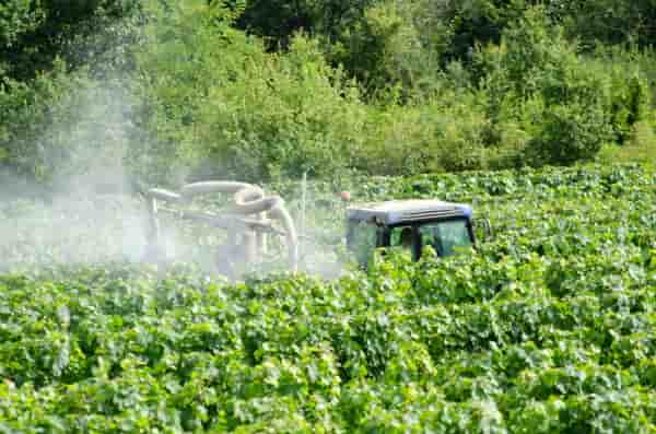 Traitement phytosanitaire vigne


