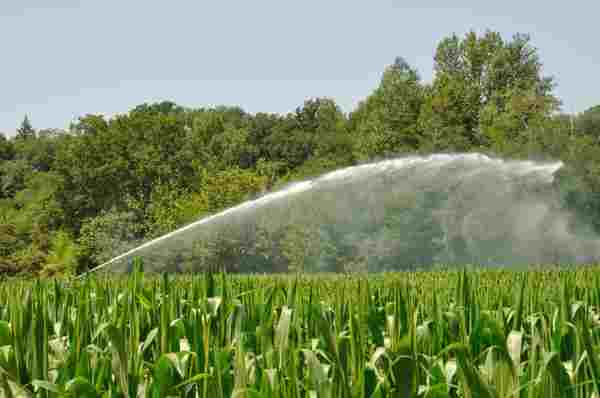 Les OUGC et la gestion de l eau d irrigation


