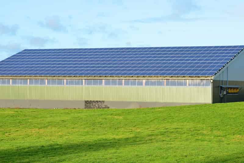 Énergie renouvelable et agriculture, vaches et panneaux photovoltaïquesdans une paririe