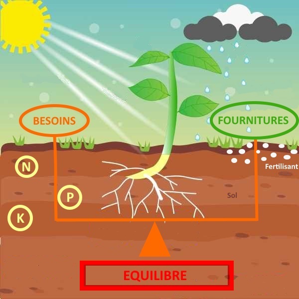 plan de fumure