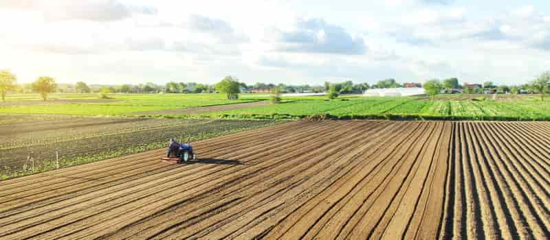 activité agricole


