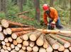 Travaux forestiers et taux de TVA à appliquer