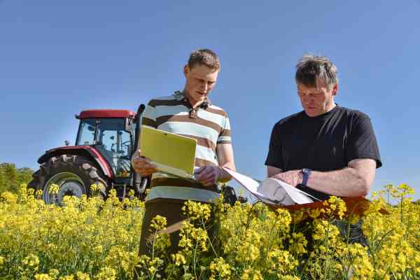 Agriculteurs consultant un dossier d'aides à l'agriculture dans un champ de colza