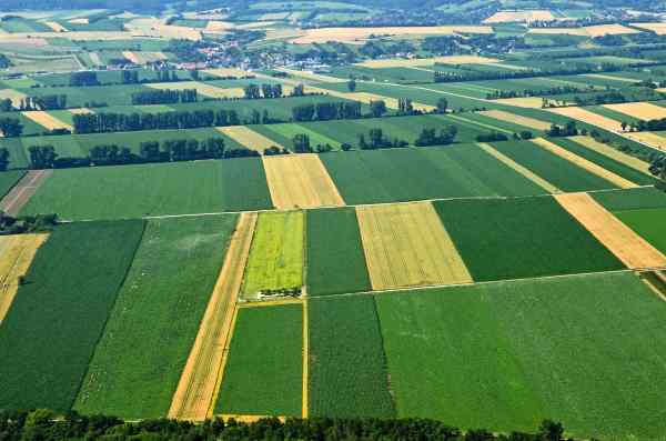 conditions de mise en œuvre du contrôle des structures en région poitou-Charentes