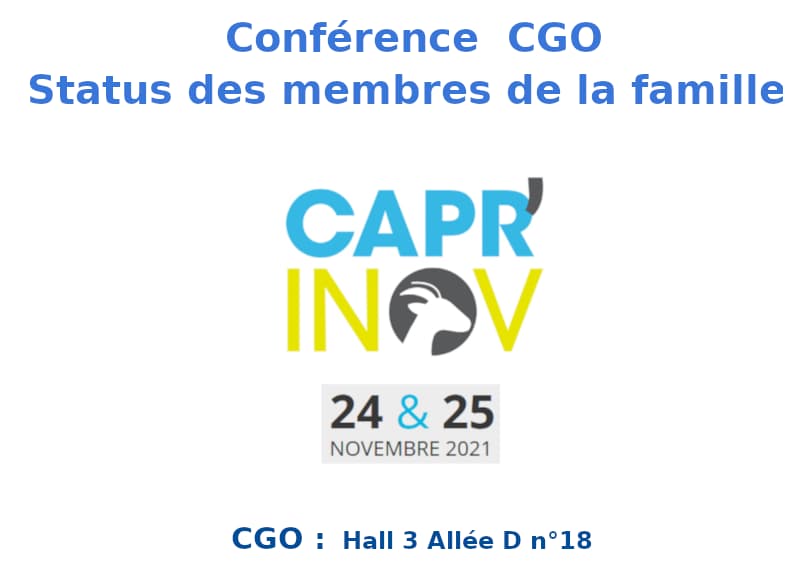 Conférence CGO - Capri'nov 2021


