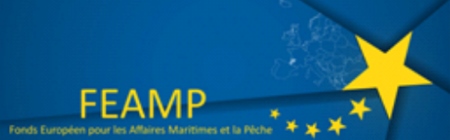 demande de subvention FEAMP demande de subvention FEAMP
