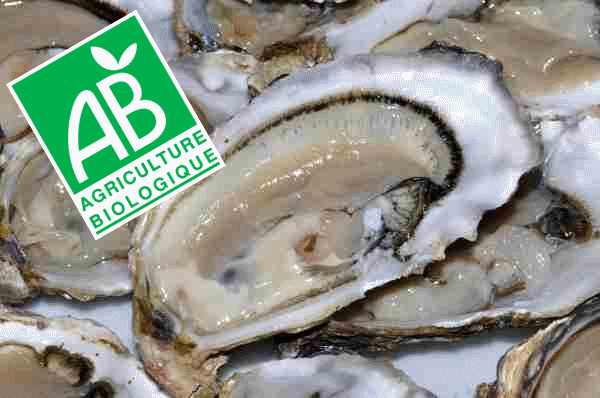 Huître bio et label AB Huître bio et label AB