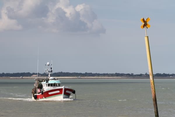 Bateau de pêche rentrant au port


