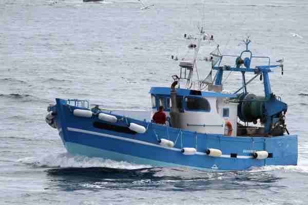 Bateau de pêche, Réunion ENIM