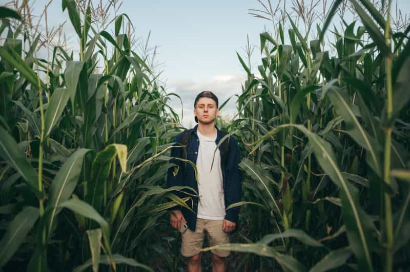 travail saisonnier, jeune dans un champ de maïs