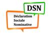 Déclaration Sociale Nominative, TESA ou CGO