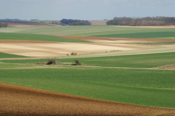 Parcellaire agricole Parcellaire agricole