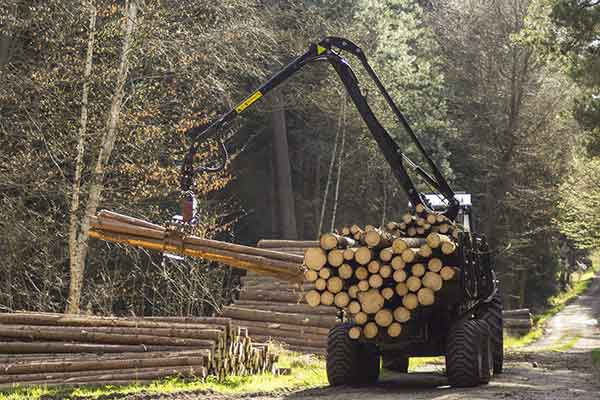 Equipements pour travaux forestiers,déduction exceptionnelle ou pas